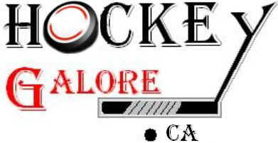 We sell Hockey Equipment