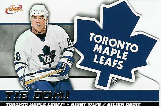Tie_Domi.jpg (34702 bytes)